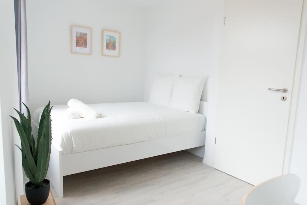 La Pomme Du President II Appartement Sélestat Buitenkant foto